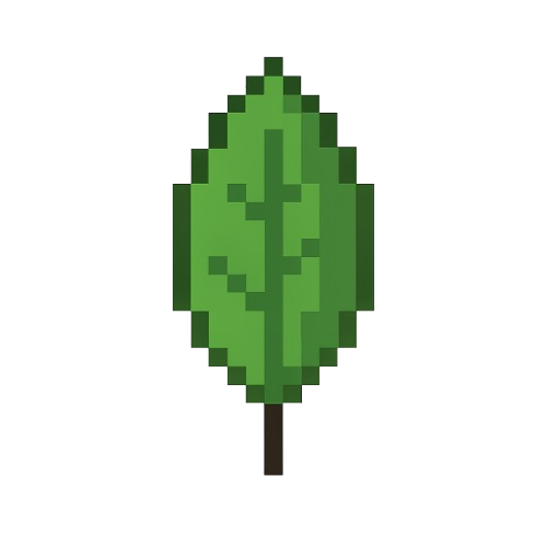MongoDB
